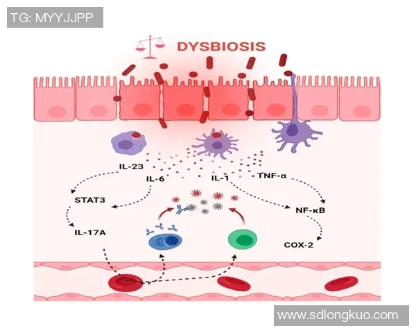 NBA球队赛季体能管理与伤病预防策略探析与实践路径