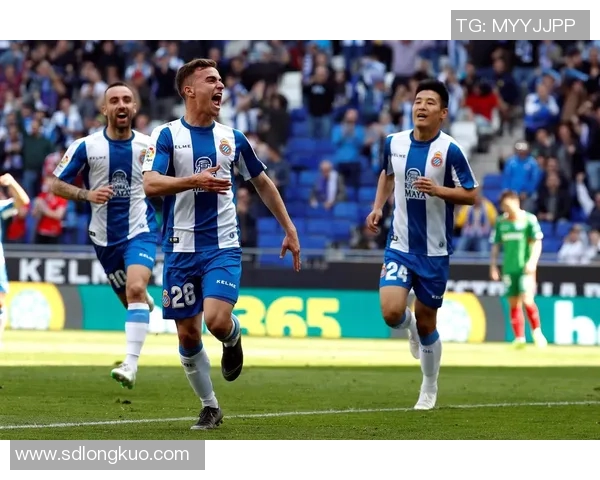 体育数据分析报告：五大联赛进球率变化