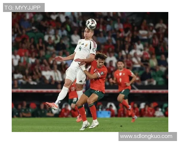 数据揭示：世界杯本赛季表现起伏不定